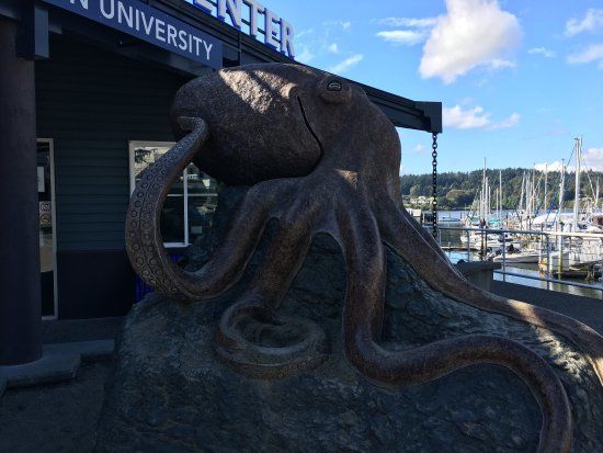 SEA Discovery Center